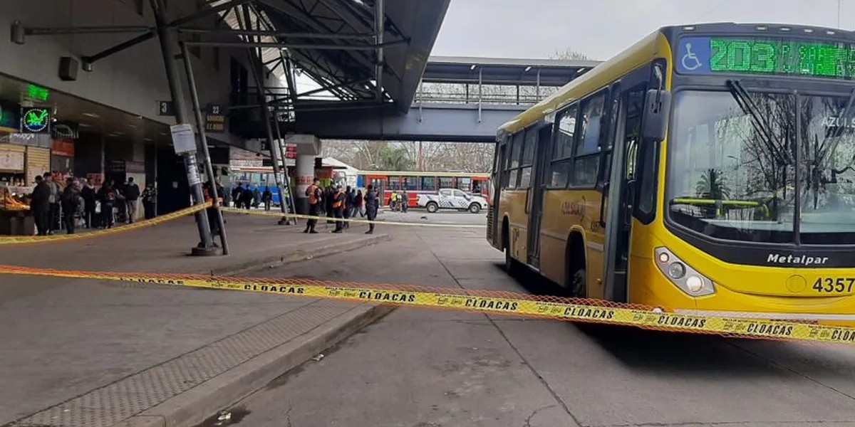 Moreno: tenía 6 años, se le cayó una bolita en la calle, fue a buscarla y murió atropellado por un colectivo | Actualidad