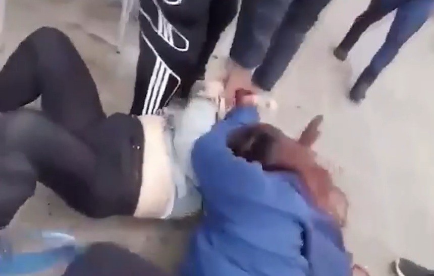 Video: pelea de perros terminó con las dueñas a las trompadas | Actualidad