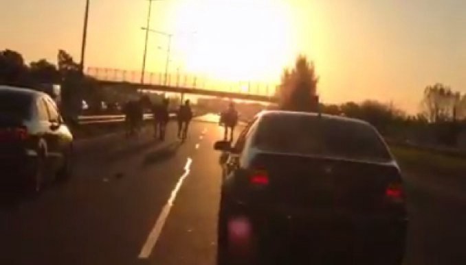 Alarma en la Panamericana por cuatro caballos sueltos | Curiosidades