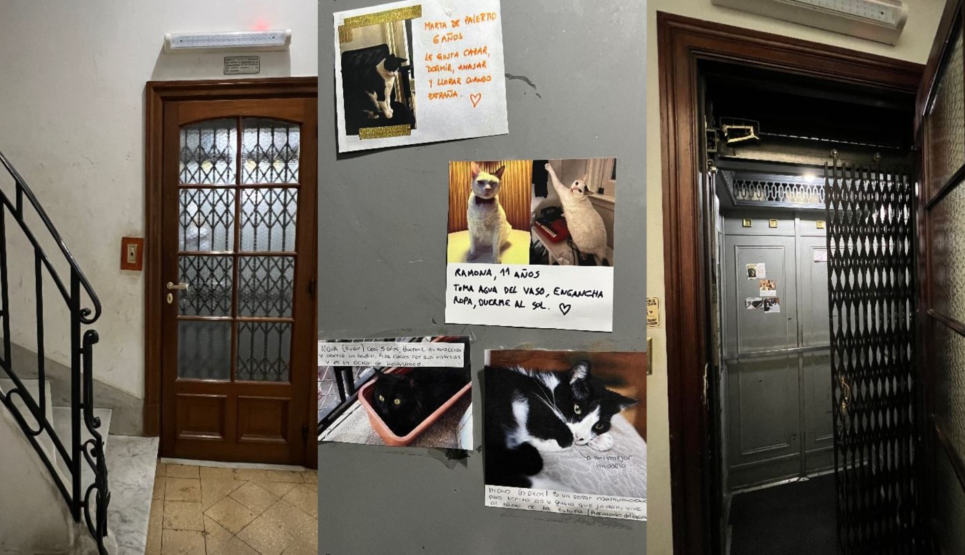 De un gatito maullando a un muro de Facebook IRL: la desopilante historia de un antiguo edificio en Palermo | Actualidad