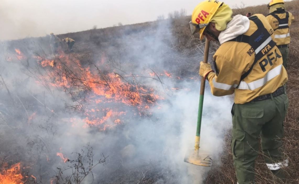 Alberto Fernández lamentó los incendios en el Delta y afirmó: "No vamos a permanecer pasivos" | Política