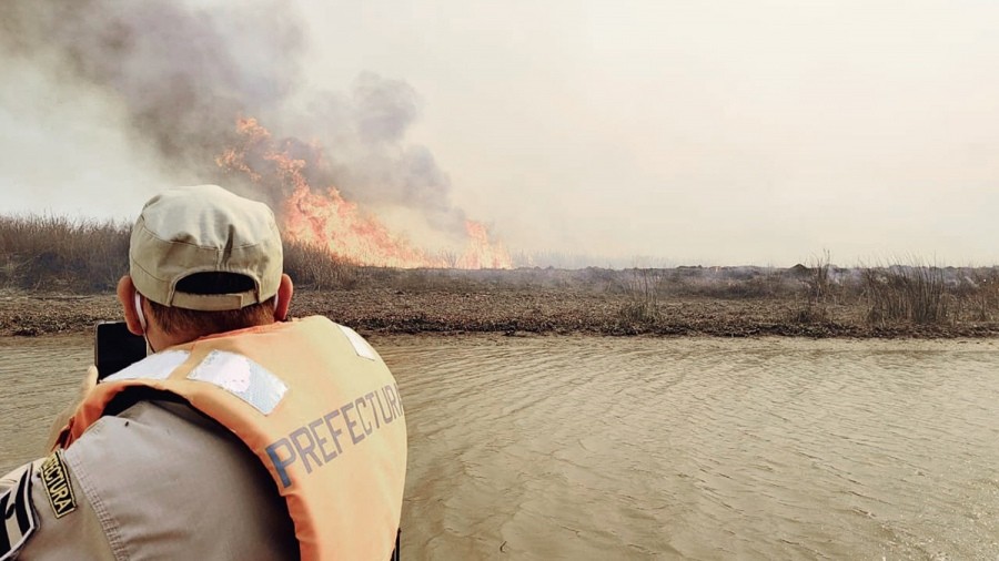 Incendios en el Delta: hay tres detenidos, acusados de iniciar el fuego | Clima, naturaleza y medio ambiente