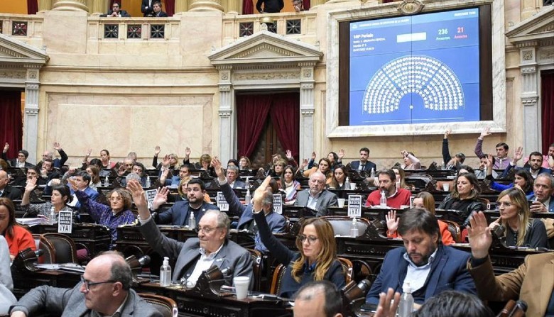 Diputados oficialistas exigen "identificar a los policías que reprimieron a Máximo Kirchner" | Política