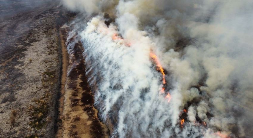 El gobernador de Entre Ríos cruzó a Cabandié por los incendios en el Delta del Paraná: "Debería hablar menos y trabajar más" | Clima, naturaleza y medio ambiente