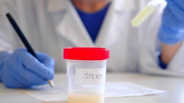 Francia retira el anonimato de los futuros donantes de esperma y de óvulos | Internacionales