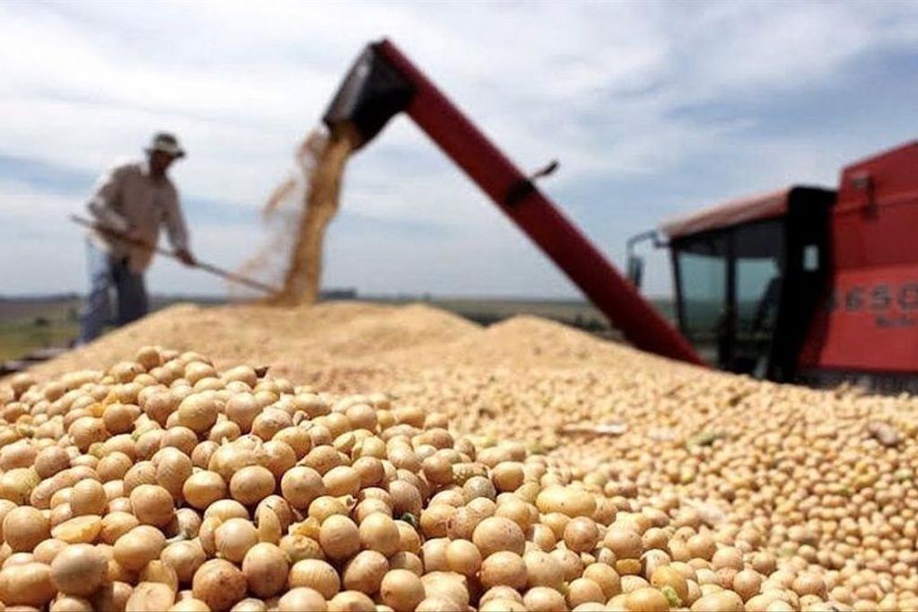 Exportaciones: el Gobierno oficializó el programa que ubica el "dólar soja" a 200 pesos | Economía