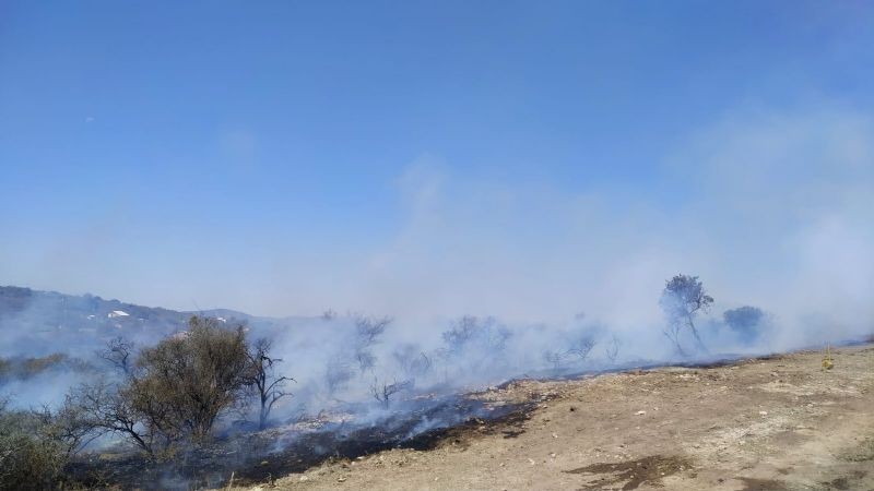 Hizo una fogata para comer y generó un incendio forestal: detenido en Córdoba | Actualidad