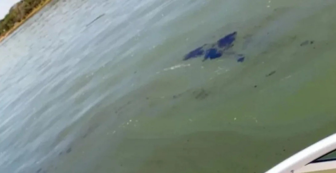 Alarma por una mancha de petróleo en el río Paraná | Actualidad