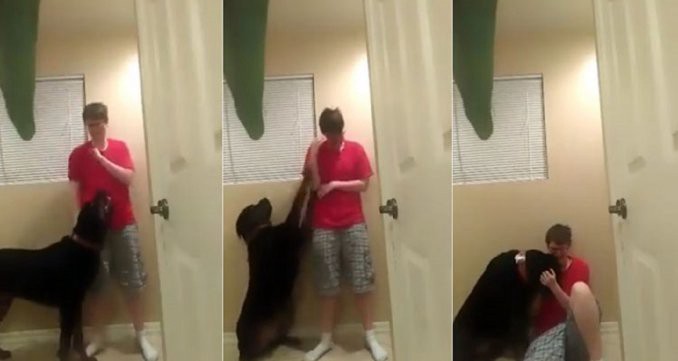 Video: el perro que consuela a una chica con autismo | Curiosidades
