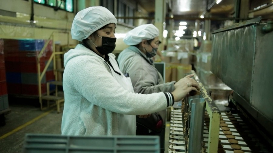 El Plan Trabajar ahora es compatible con el Plan Progresar | Actualidad