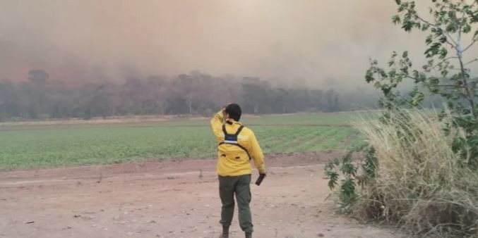 Incendios en Jujuy arrasaron con más de 6.000 hectáreas en las yungas: "Fueron intencionales", denunció el Gobernador | Clima, naturaleza y medio ambiente