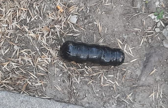 Vialidad: Detonaron un paquete sospechoso en la casa de uno de los jueces del tribunal que juzga a Cristina | Política