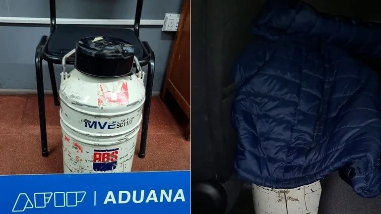 Contrabando: la Aduana secuestró un recipiente con semen de toro valuado en US$ 500.000 | Actualidad