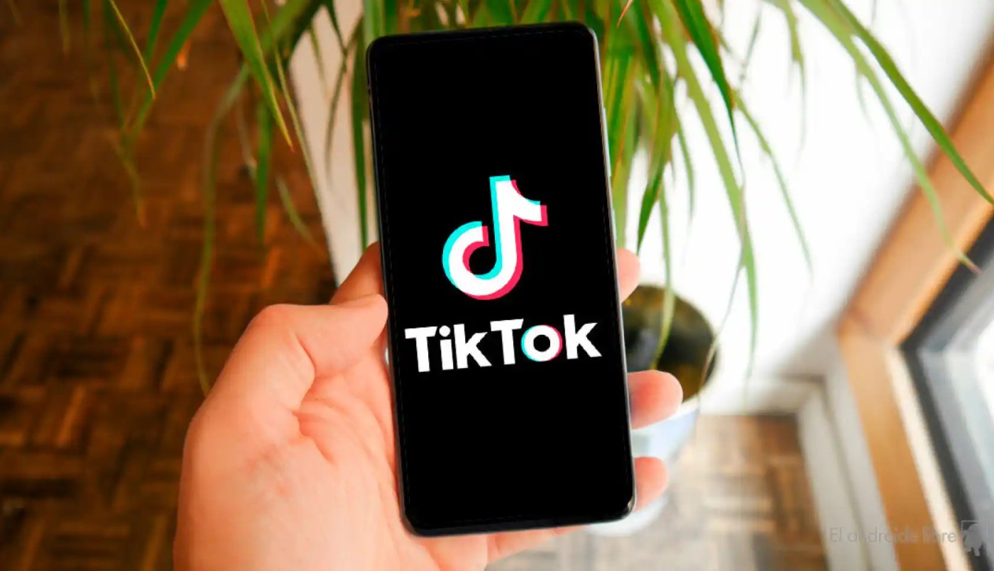 TikTok lanzó un botón de “no me gusta” | Redes