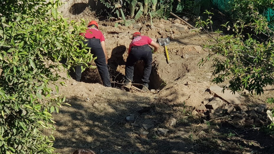 Joven confesó que mató y descuartizó a su mamá y a su tía: excavaciones en busca de los cuerpos | Actualidad