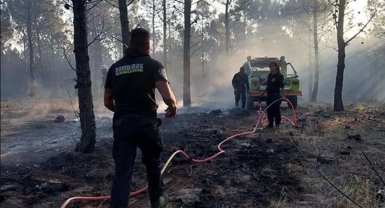 Inició una quema de pastizales en su campo: terminó incendiando 15 hectáreas de monte y pinos | Actualidad