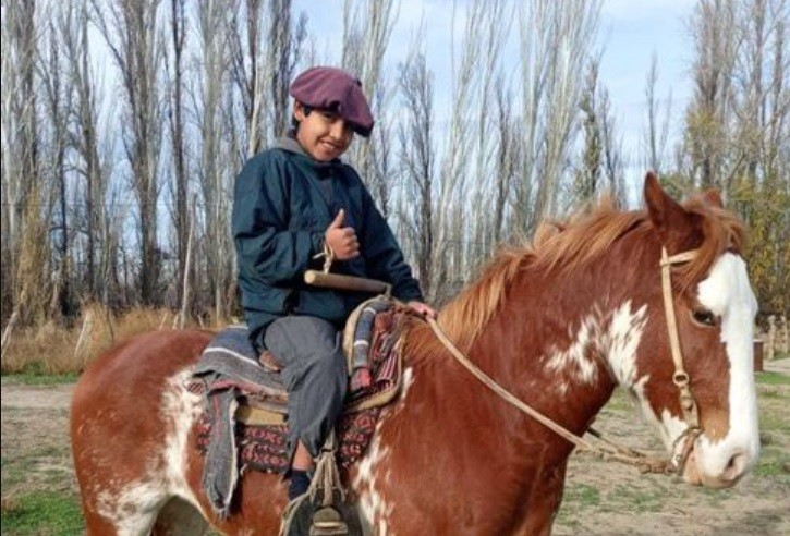 "Vos no tenés ni corazón, me comiste el caballo": denuncia y tristeza de un chico de 12 años | Actualidad