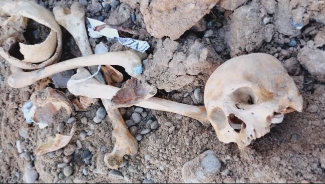 Estudiantes hallaron huesos humanos enterrados en una pensión de La Plata | Actualidad