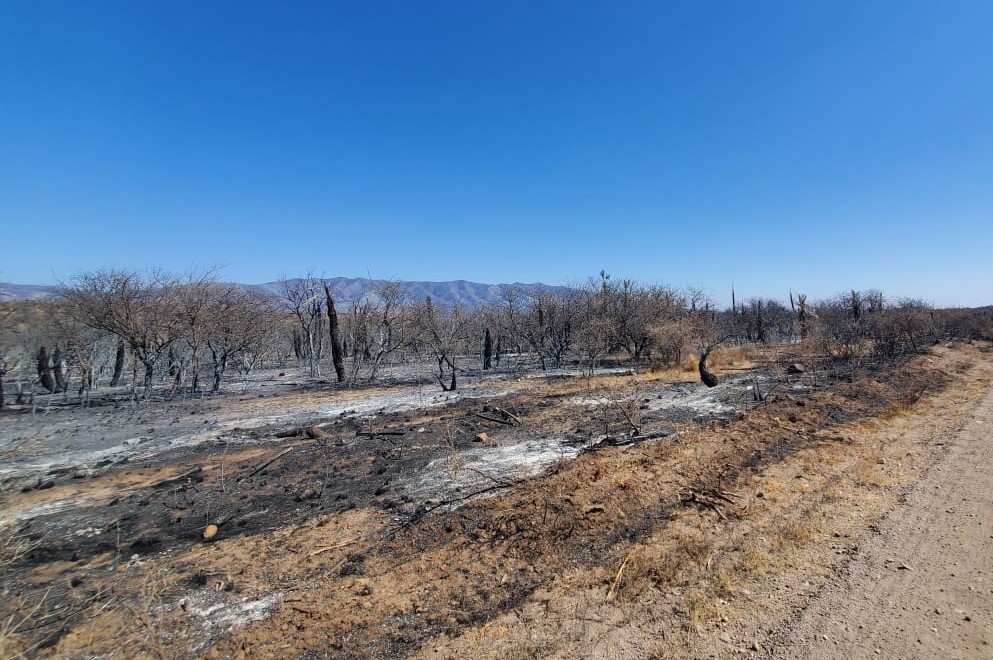 Murió un menor de edad que intentaba apagar un incendio forestal en Calamuchita | Actualidad