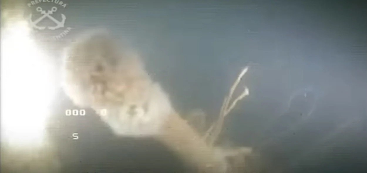 Confirman que el submarino hallado en Quequén perteneció al nazismo | Actualidad