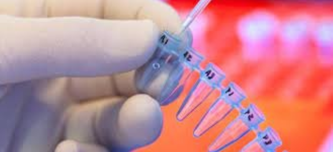 Indemnización: deberá pagarle $13 millones a la hija que no reconoció hasta que ella cumplió 40 años | Actualidad