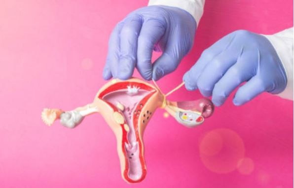 Mendoza: impulsan un proyecto que busca evitar embarazos a través de ligadura de trompas y vasectomía | Actualidad