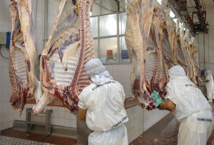 El Gobierno postergó la entrada en vigencia de la comercialización de carne por troceo | Actualidad