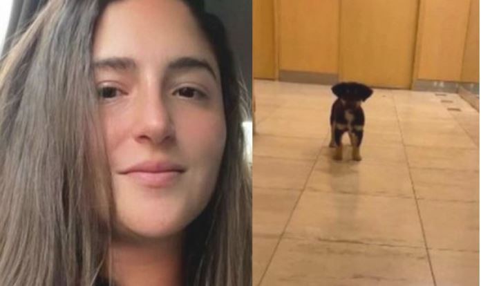 Citan a indagatoria a la joven que le sacó el perro a un hombre en situación de calle | Actualidad
