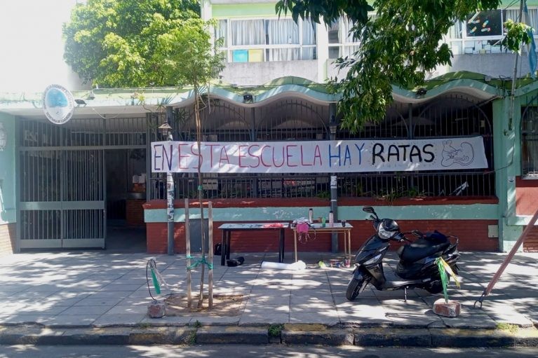 La Defensoría del Pueblo recibió denuncias por ratas en al menos 11 escuelas porteñas | Actualidad