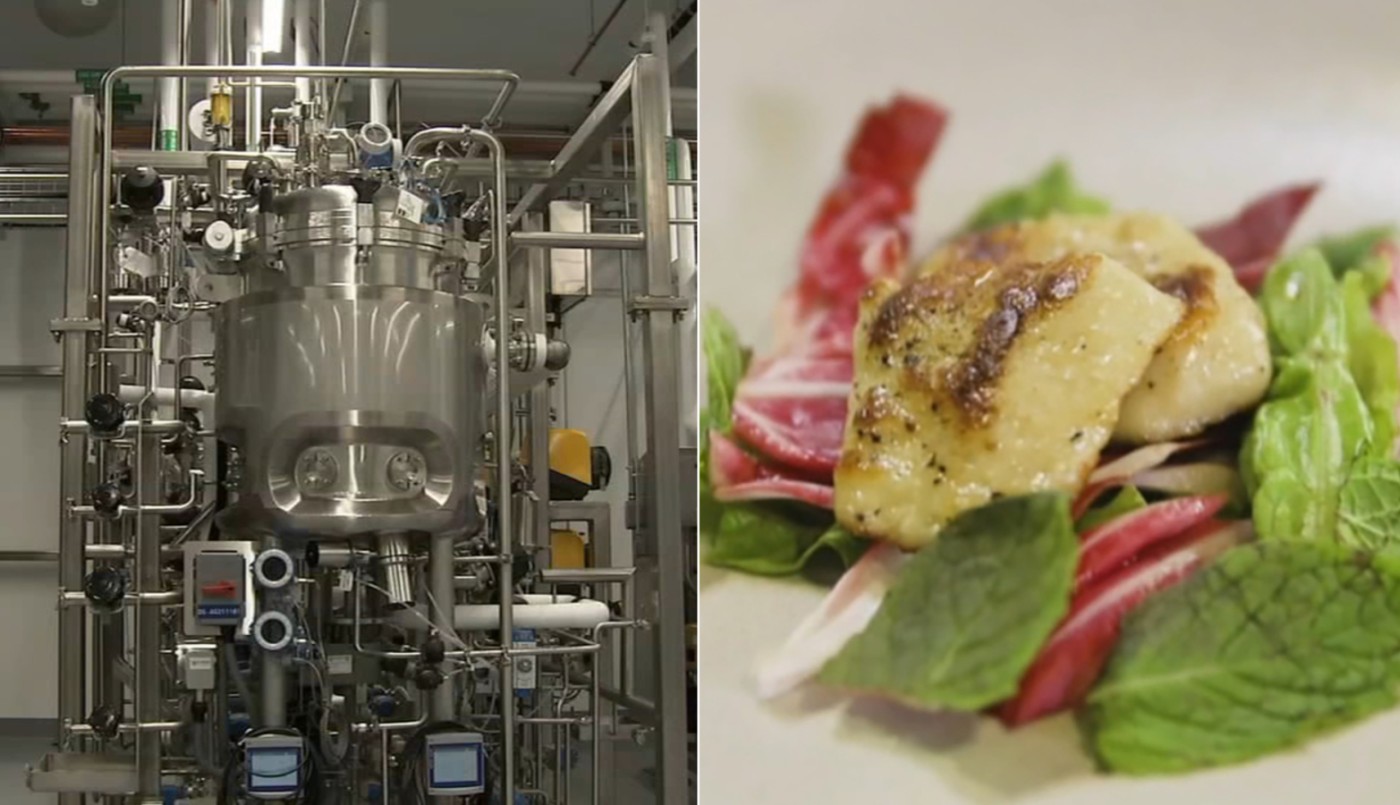 Aprobaron la producción de carne cultivada a partir de células animales en Estados Unidos | Internacionales