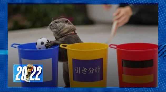 Mascota profeta: la nutria Taiyo predijo el triunfo japonés en el Mundial | Qatar 2022