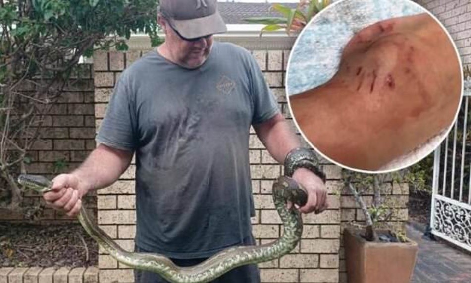 Niño sobrevivió a una pitón que lo mordió y lo arrastró a una piscina | Internacionales