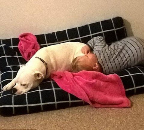 La amistad entre una bebé y un perro unidos por la falta de un brazo | Curiosidades