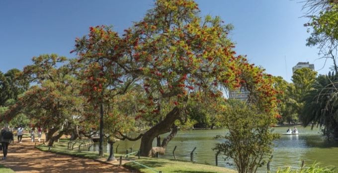 Hallaron a un alumno del Lengüitas con un disparo en la cabeza en los bosques de Palermo | Actualidad
