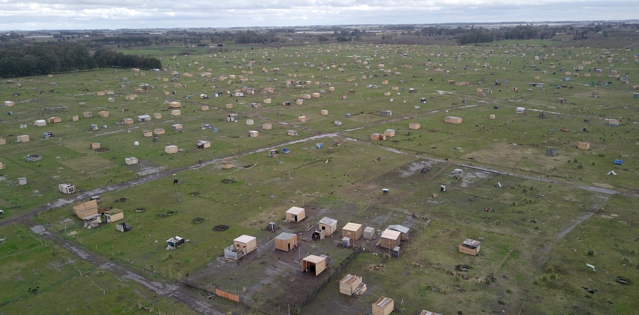 Pelea en una toma de terrenos en Quilmes: Matan a un joven y hieren a una adolescente | Actualidad