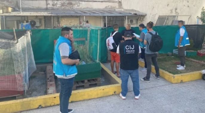 Desbarataron un criadero ilegal de perros que estaba en el predio de un jardín de infantes | Actualidad