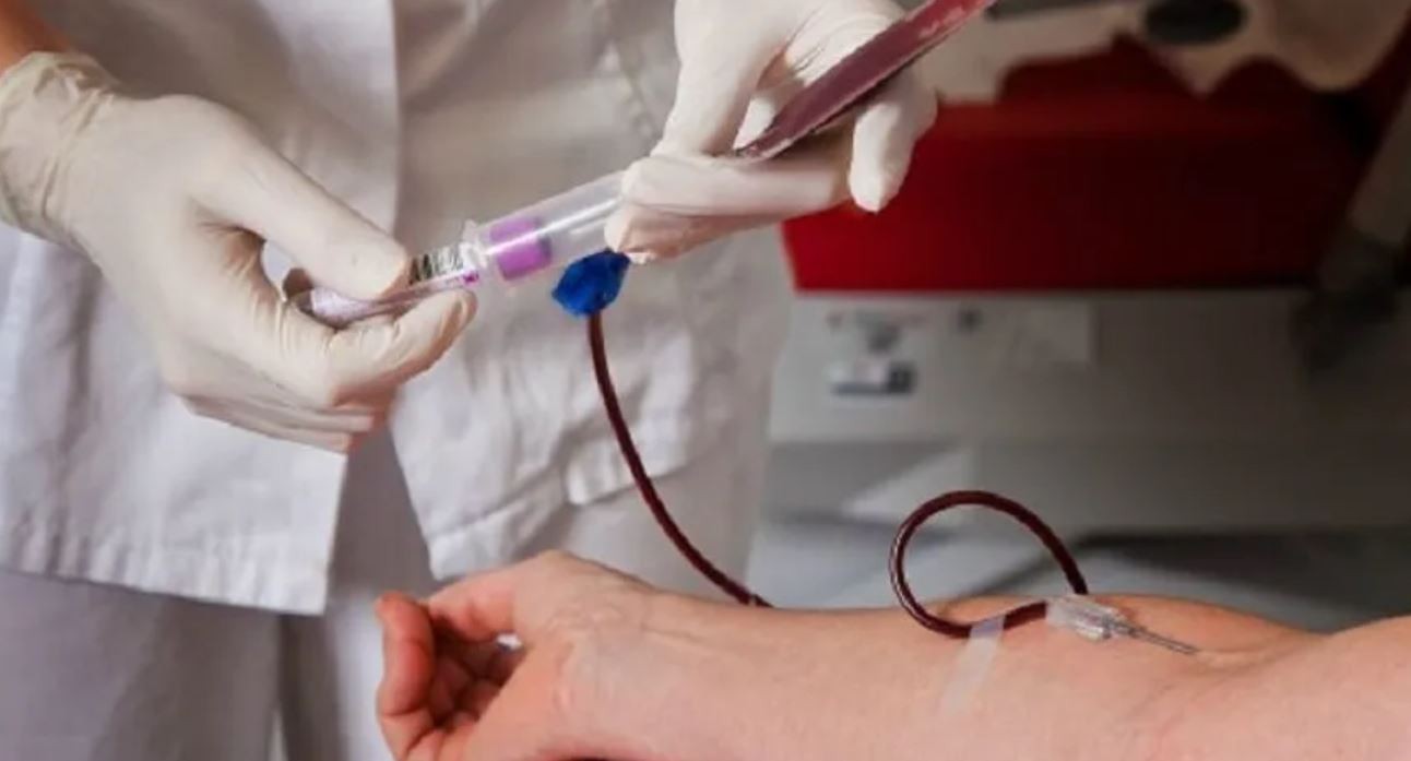 Alemania va a levantar restricciones a los donantes de sangre homosexuales | Internacionales