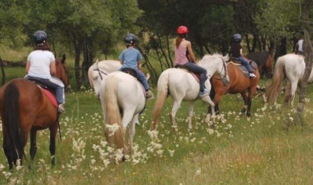 Una mujer de 61 años falleció durante una cabalgata: le dio un paro cardíaco | Actualidad