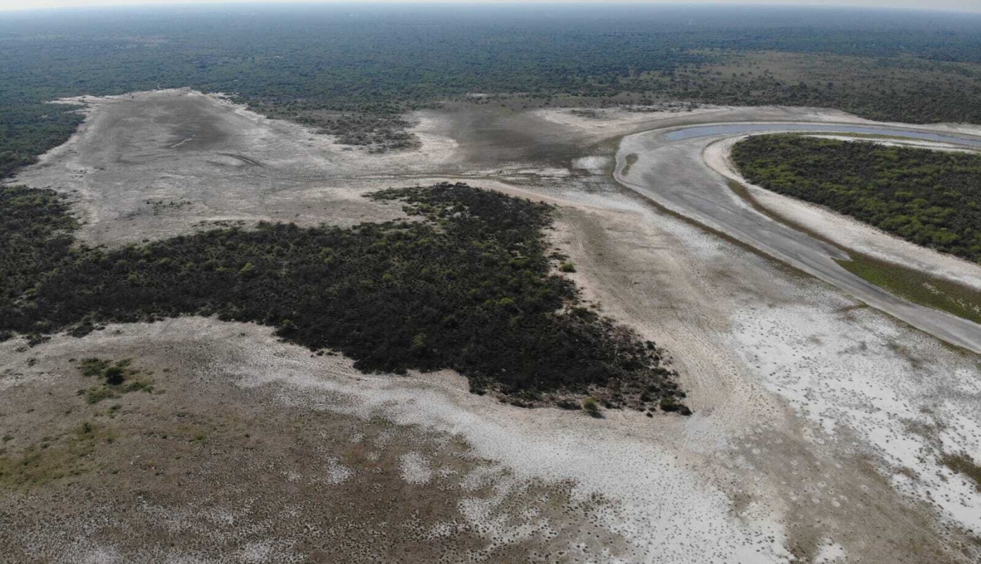 Animales muertos, ríos sin agua y desesperación: las desgarradoras imágenes de la sequía | Actualidad