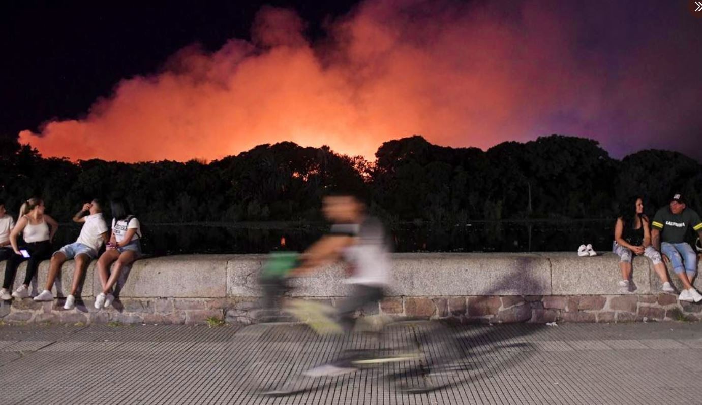 El incendio de la Reserva Ecológica de Costanera Sur estaría controlado | Actualidad