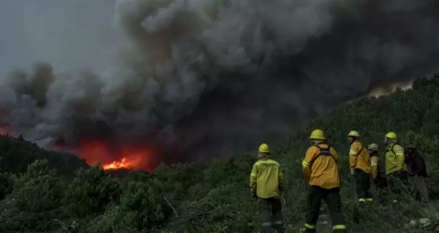 Nueve provincias con incendios en sus territorios: Buenos Aires y Entre Ríos, las más afectadas | Clima, naturaleza y medio ambiente