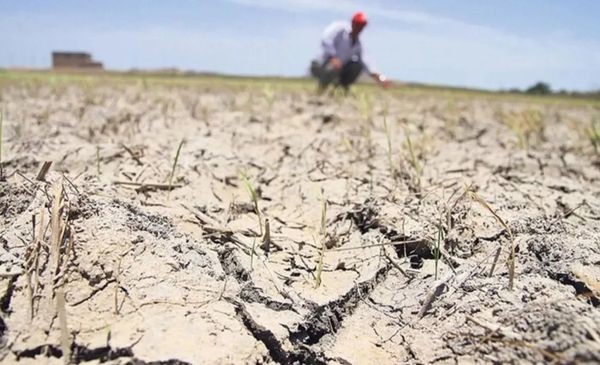 Aumenta el riesgo de sequía: 175 millones de hectáreas en peligro | Clima, naturaleza y medio ambiente