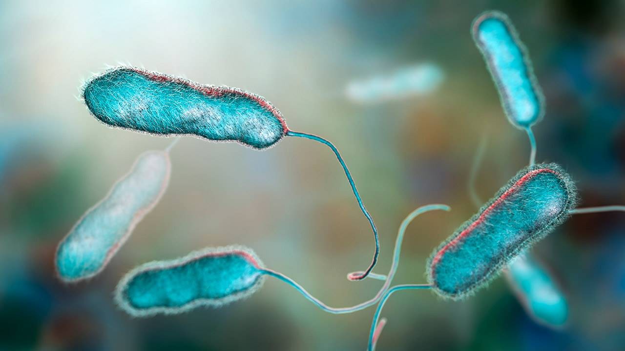 Detectan cinco posibles casos de Legionella en Tucumán | Actualidad