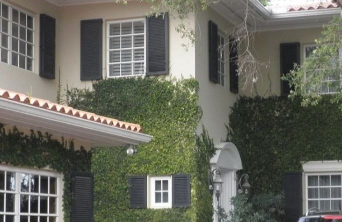 "Gracias a Dios no fue más que un susto", dijo Susana Giménez tras un principio de incendio en su casa de Miami | Espectáculos