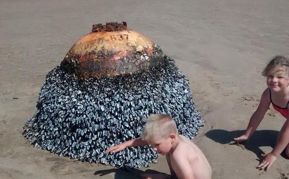 Jugaron y posaron junto a una boya, pero era una bomba gigante | Curiosidades