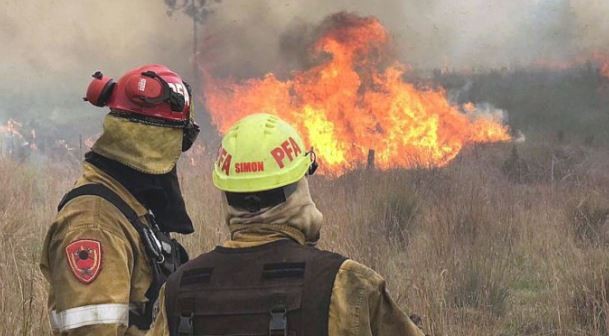 Desde diciembre se quemaron 31.000 hectáreas en Corrientes | Clima, naturaleza y medio ambiente