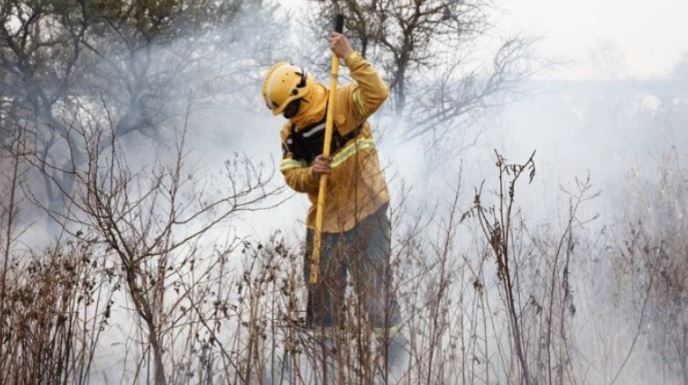 Chubut: el incendio en el Parque Nacional Los Alerces ya llegó al Lago Cholila | Clima, naturaleza y medio ambiente
