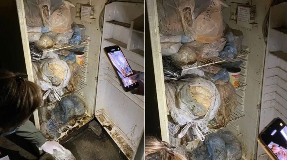 Tras denuncia de vecinos por olor nauseabundo, hallaron animales desmembrados en la heladera de una casa en San Juan | Actualidad