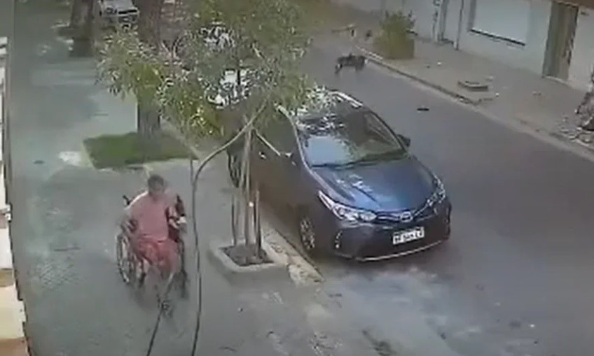 Durante una salida transitoria de la cárcel, robó y baleó a una pareja con ayuda de su hijo | Actualidad