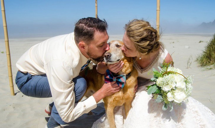 Pareja lleva a su perro con cáncer terminal al mar como su testigo de boda | Curiosidades